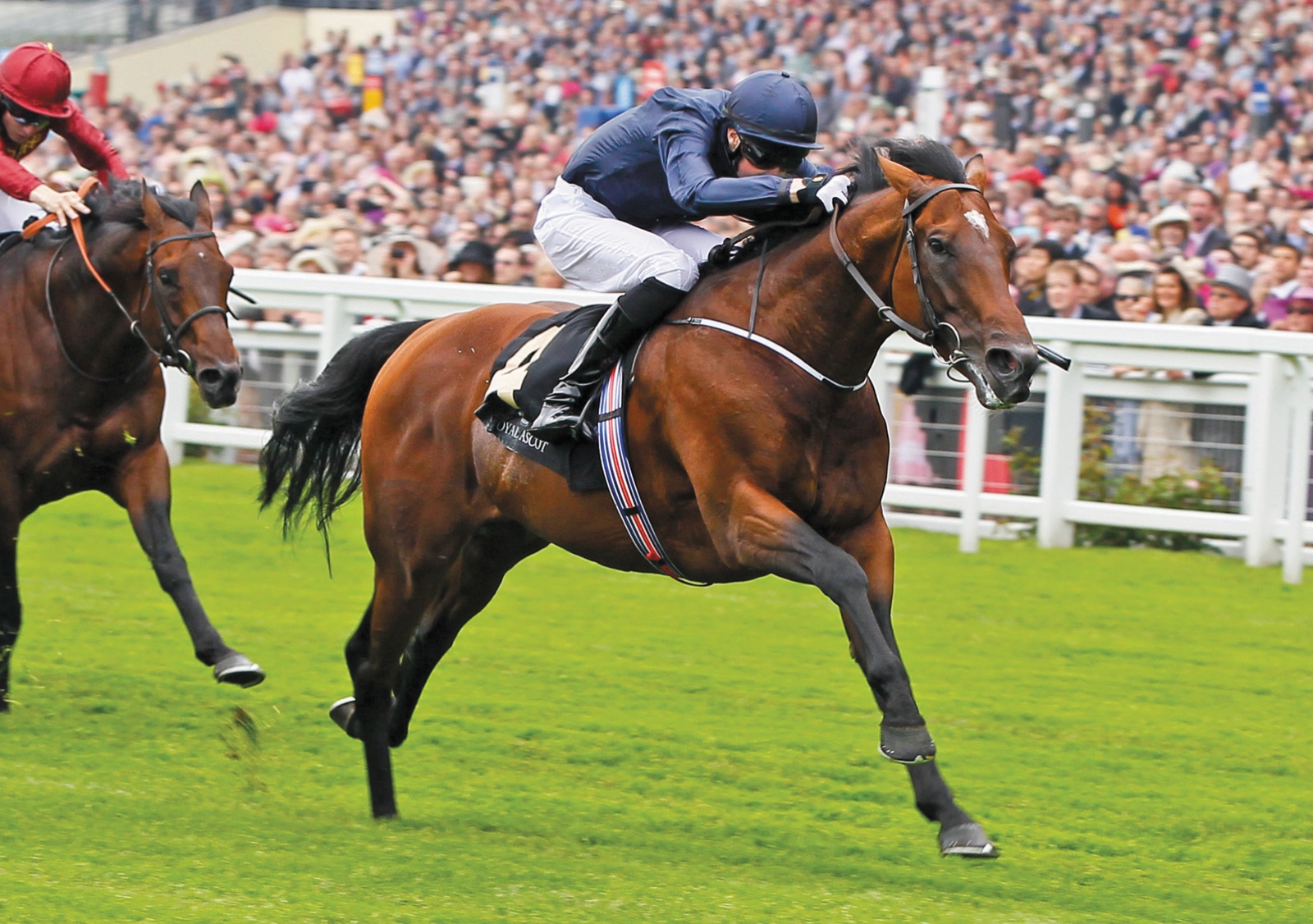 horse racing declarations today